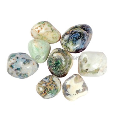 Tree Agate Tumble Stone